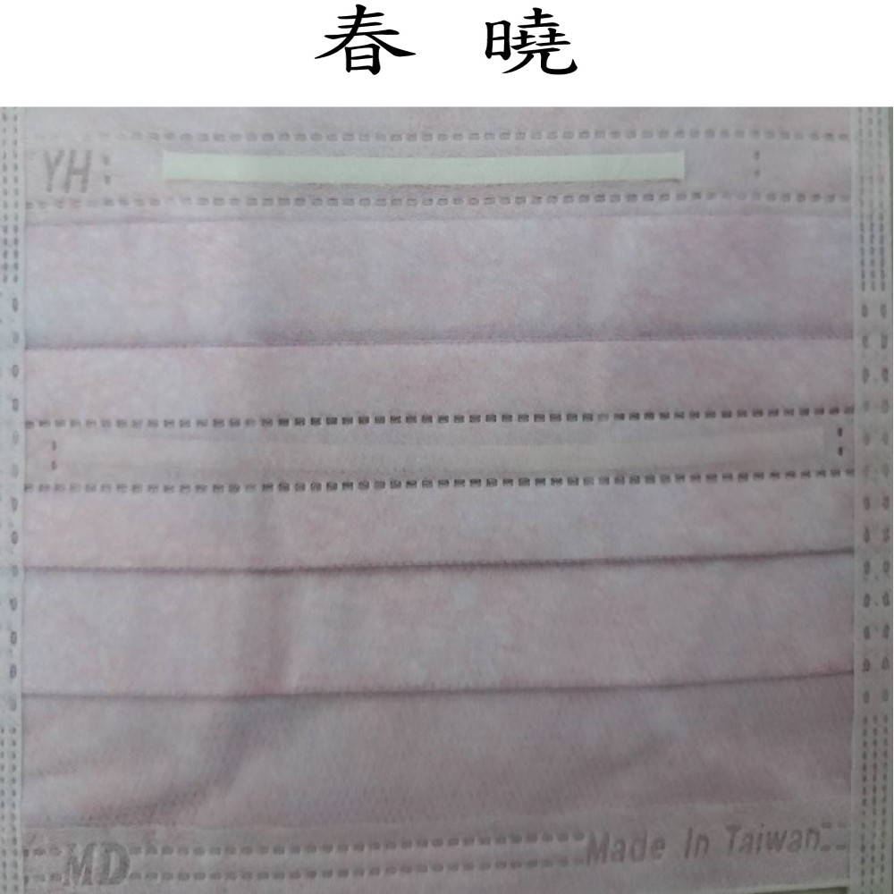 巽風堂 醫療級口罩 雙鋼印雙壓條 弓型成人專用 台灣製造
