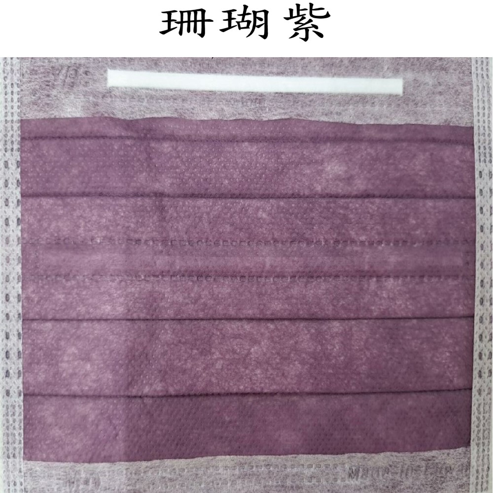 巽風堂 醫療級口罩 雙鋼印雙壓條 弓型成人專用 台灣製造