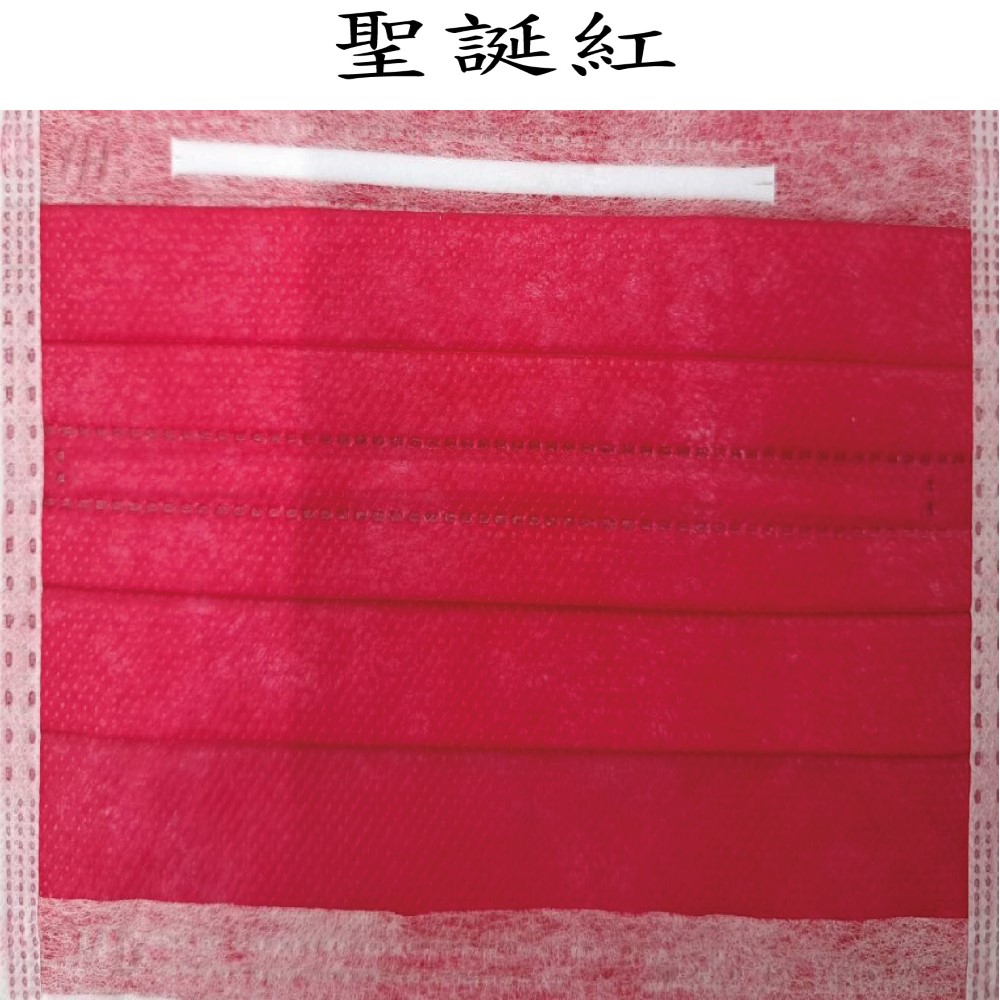 巽風堂 醫療級口罩 雙鋼印雙壓條 弓型成人專用 台灣製造